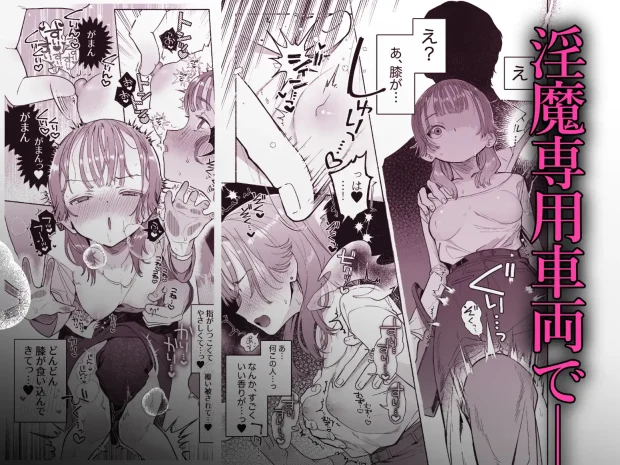 淫魔専用車両 玩具痴幹線 ~急行ホテルイき~